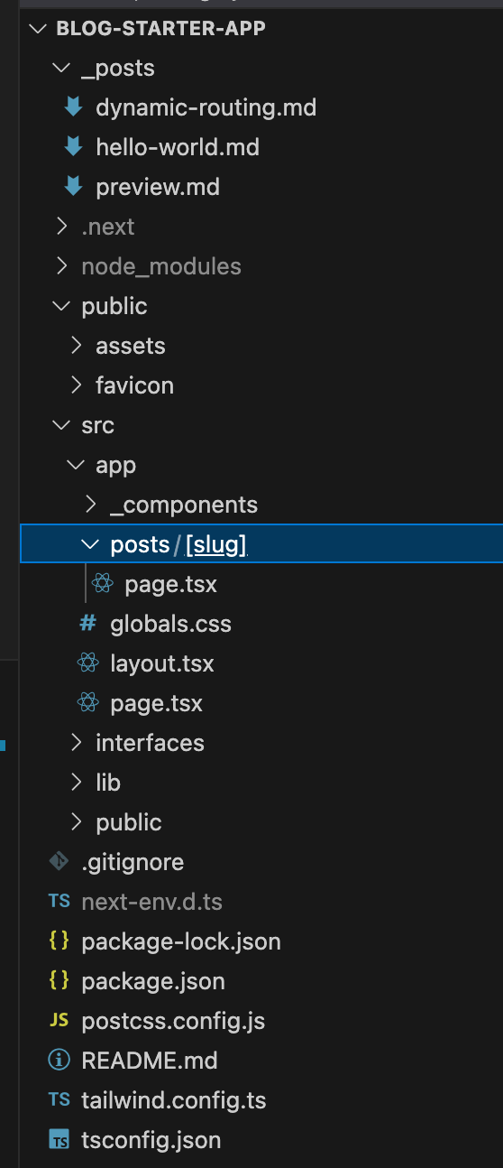 NextJS Blog Starter Template Project Directory